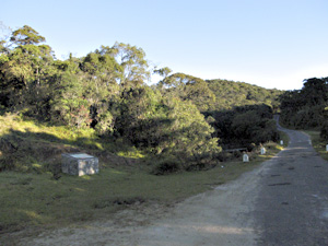 Horton Plains - Arrenga Spot