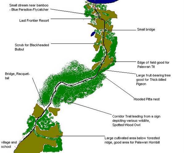 Map Sabang Palawan