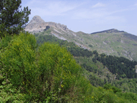 Monti Peloritani range