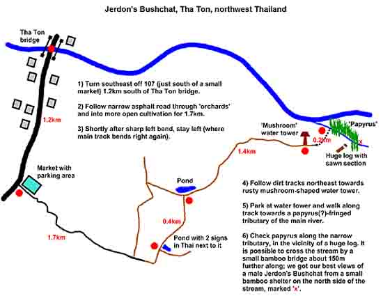 Jerdon's Bushchat map