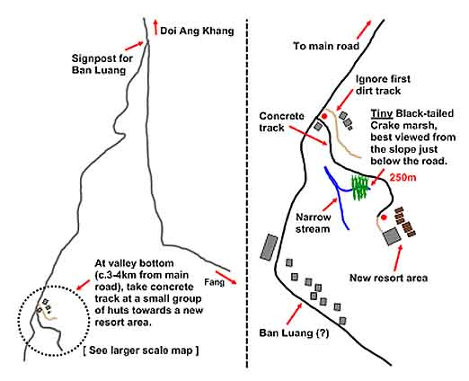 Black-tailed Crake map